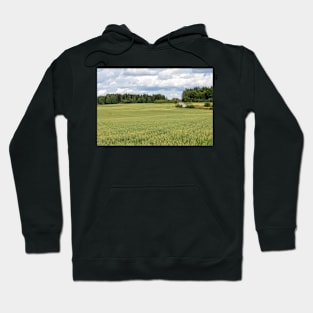 Wheat Field Hoodie